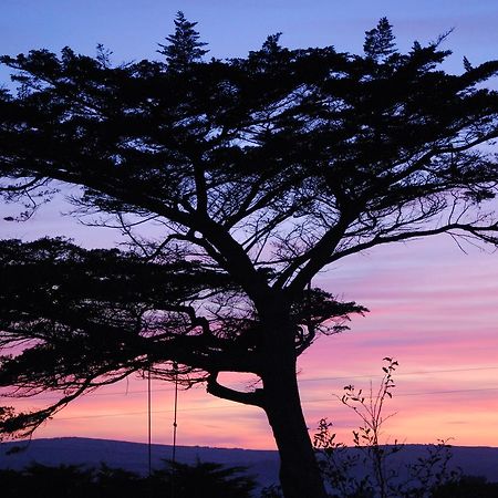 Bed and Breakfast Bangors Organic Bude Exterior foto